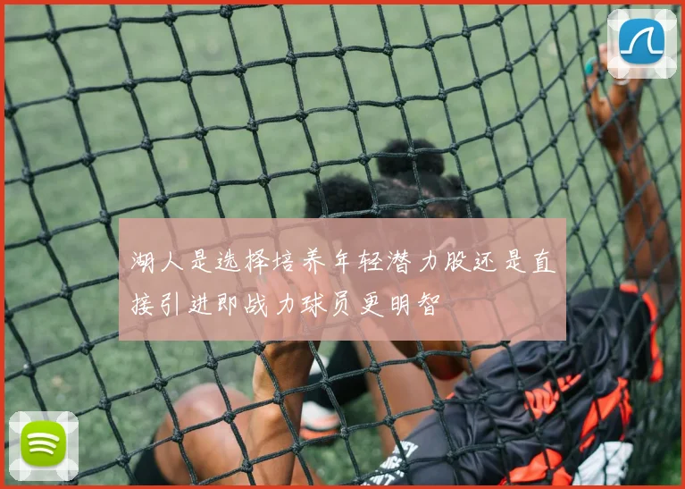 湖人是选择培养年轻潜力股还是直接引进即战力球员更明智