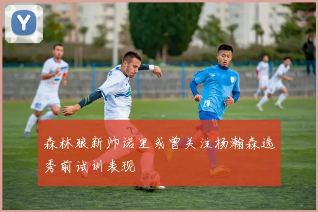 森林狼新帅诺里或曾关注杨瀚森选秀前试训表现