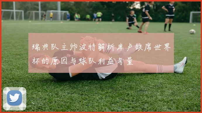 瑞典队主帅波特解析库卢缺席世界杯的原因与球队利益考量