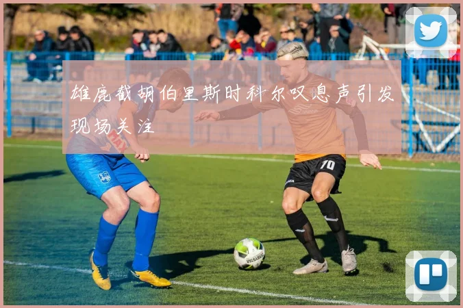 雄鹿截胡伯里斯时科尔叹息声引发现场关注